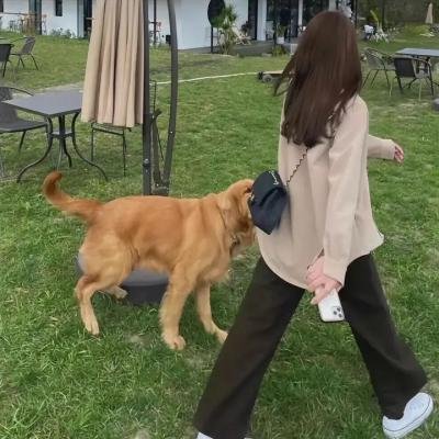 强人粤语