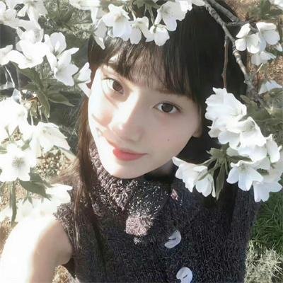 精灵守护者第二部